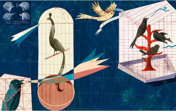 Illustration zu 'Die Gedanken sind frei' von Christoph Mett