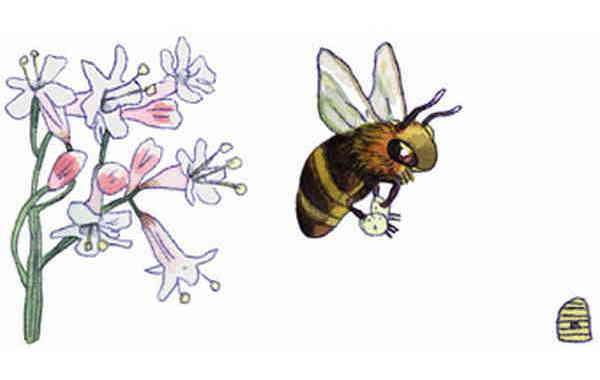 Illustration zu 'Summ, summ, summ' von Markus Lefrançois