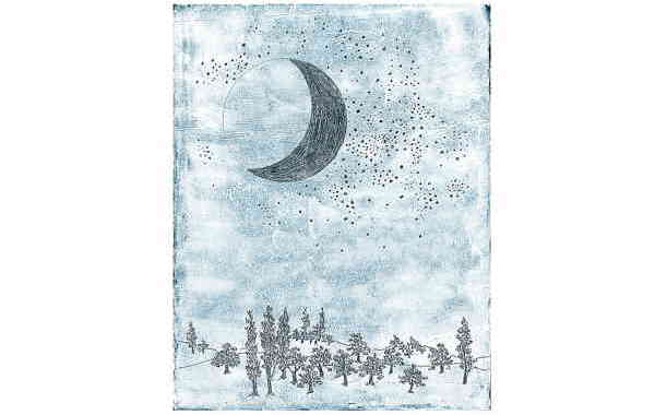 Illustration zu 'Numi numi, yaldati' von Frank Walka