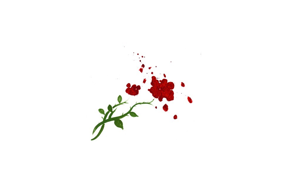 Illustration zu »Sah ein Knab ein Röslein stehn (Schubert)« von Christoph Mett