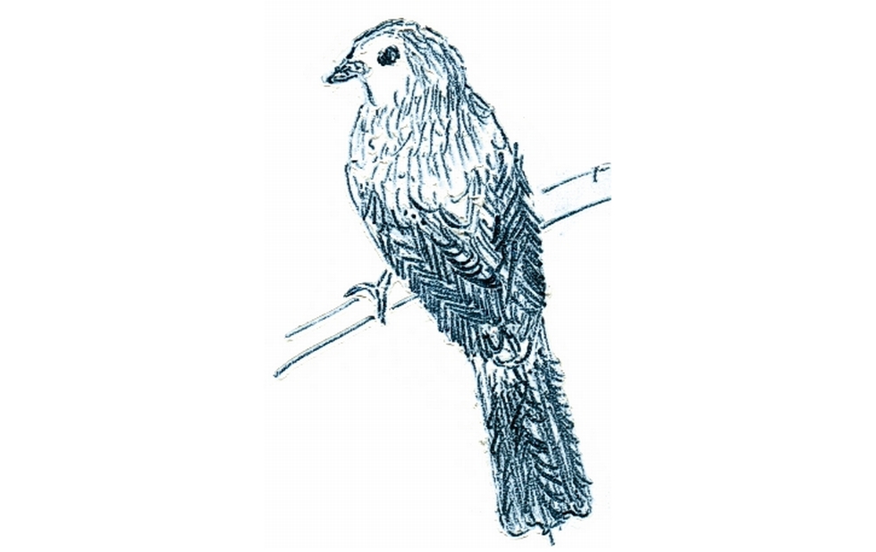 Illustration zu »Bei der Wiege« von Frank Walka