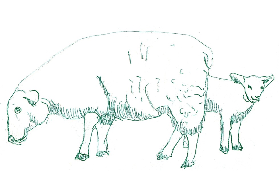 Illustration zu »Schlafe, mein Prinzchen, schlaf ein« von Frank Walka