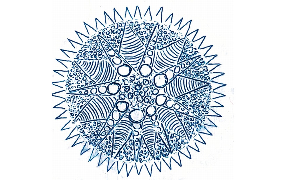 Illustration zu »Der Abendstern« von Frank Walka