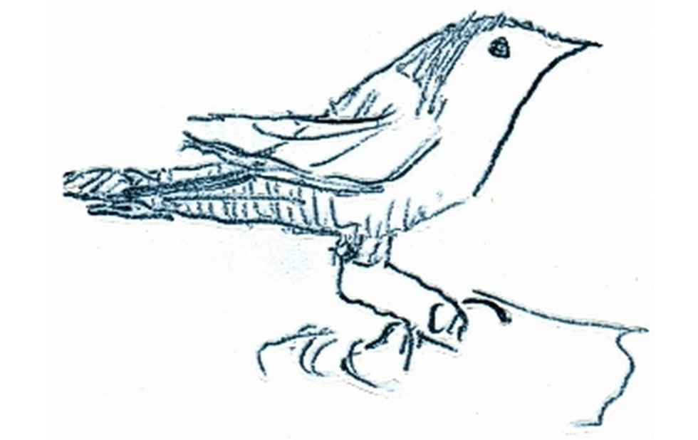 Illustration zu »Shlof main fegele« von Frank Walka