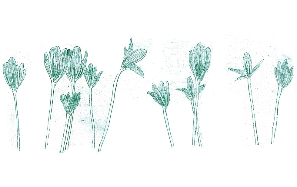 Illustration zu »Aber heidschi bumbeidschi« von Frank Walka