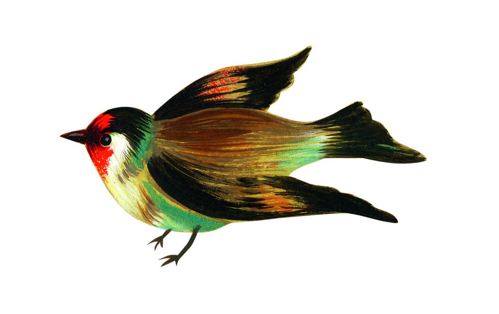 Illustration zu »Wach auf, meins Herzens Schöne« von Christoph Mett