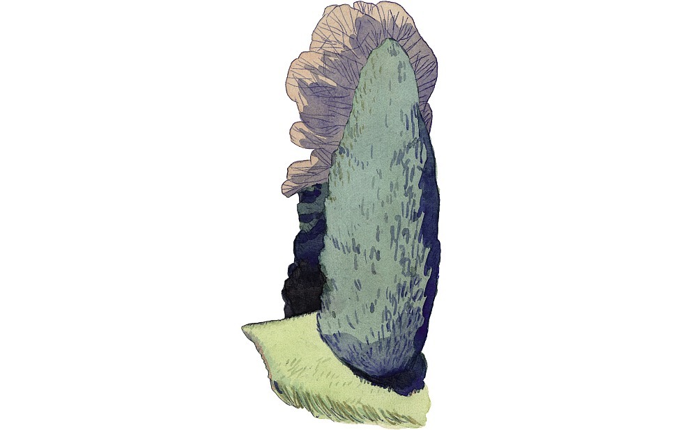 Illustration zu »Häschen in der Grube« von Markus Lefrançois