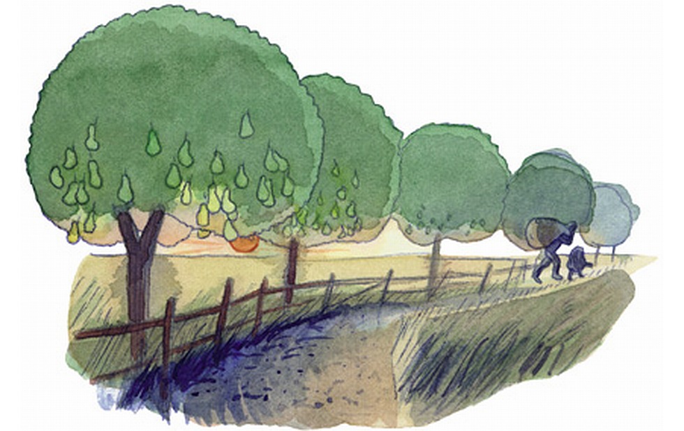 Illustration zu »Spannenlanger Hansel« von Markus Lefrançois