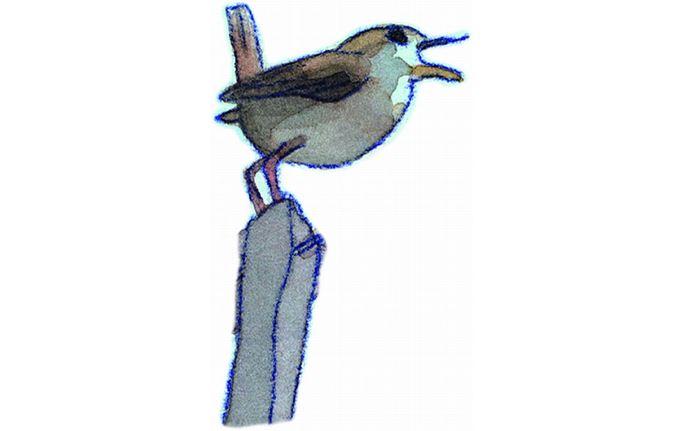 Illustration zu »Ich bin der Stimmakrobat« von Markus Lefrançois