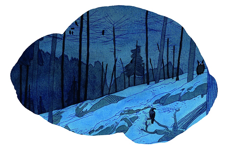 Illustration zu »Zwei kleine Wölfe« von Markus Lefrançois