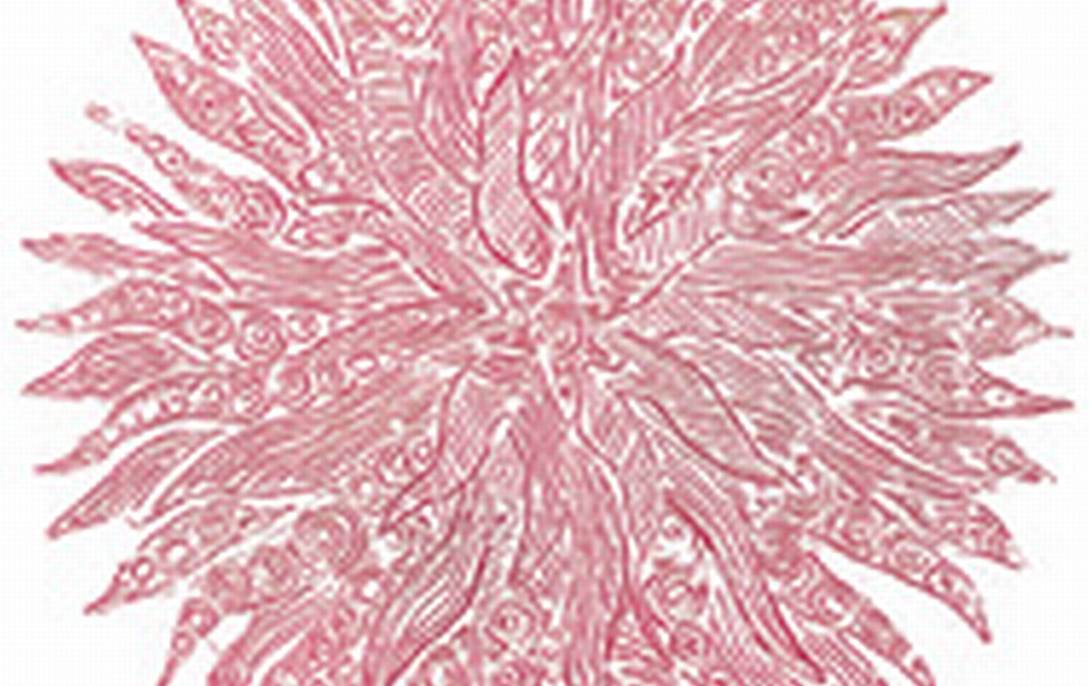 Illustration zu »Brich an, du schönes Morgenlicht« von Frank Walka