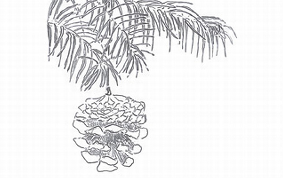 Illustration zu »Am Weihnachtsbaum die Lichter brennen« von Frank Walka