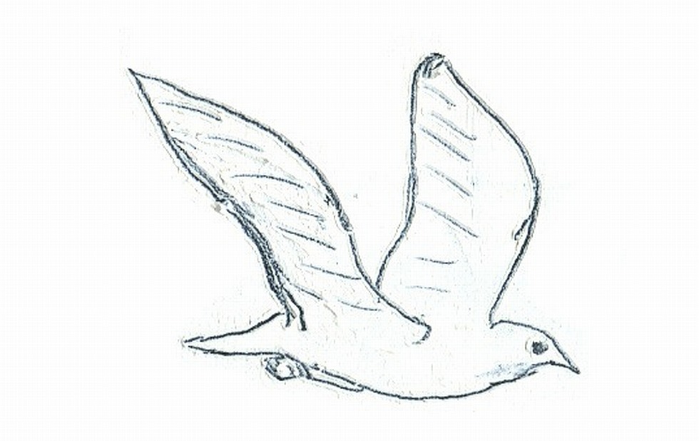 Illustration zu »Yalla tnam Rima« von Frank Walka