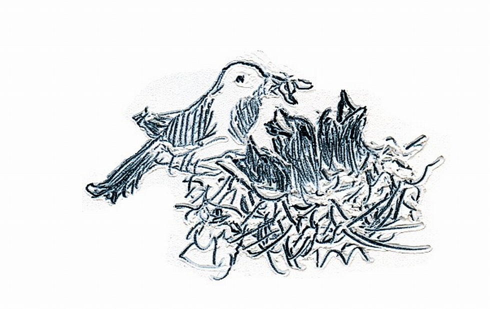 Illustration zu »Aija, zuzu« von Frank Walka