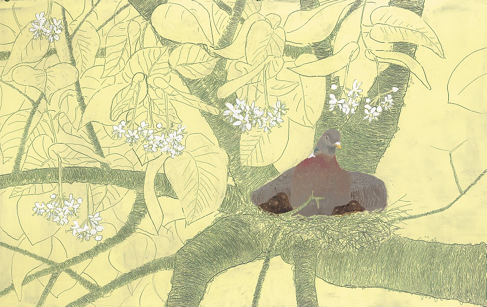 Illustration zu »Ej, pada, pada rosicka« von Frank Walka