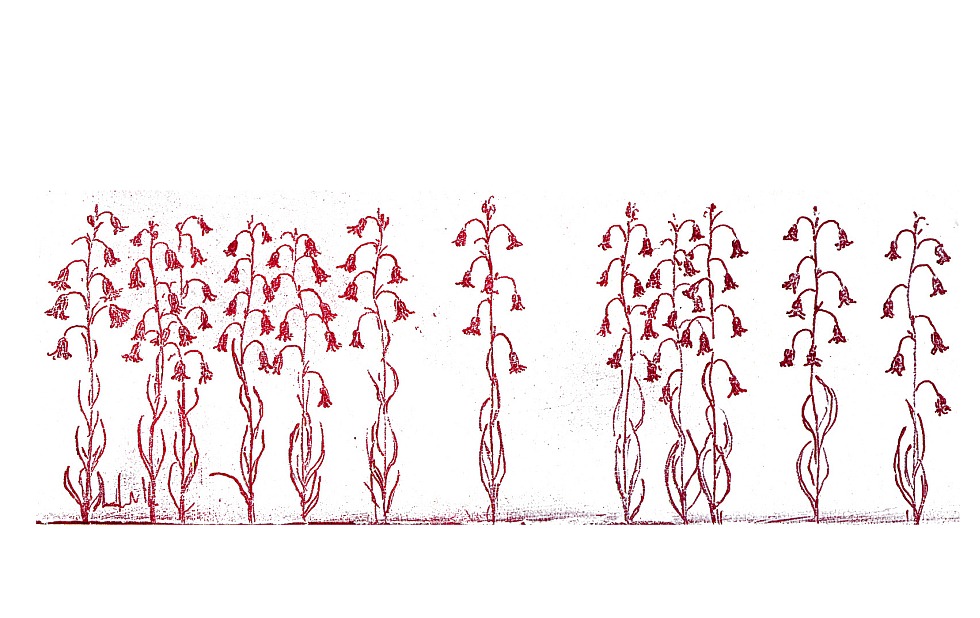 Illustration zu »Hraju na Maru« von Frank Walka