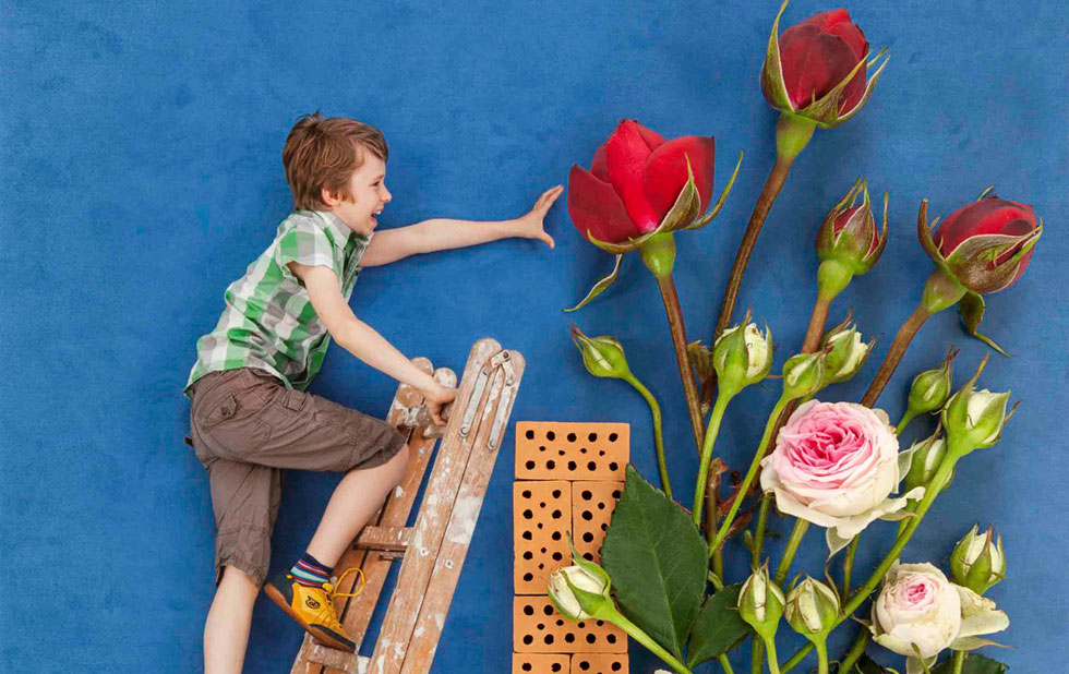 Illustration zu »Fui ao jardim da Celeste / Celestes Garten« von Jan von Holleben